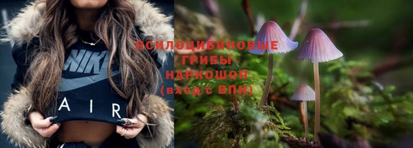 ECSTASY Володарск