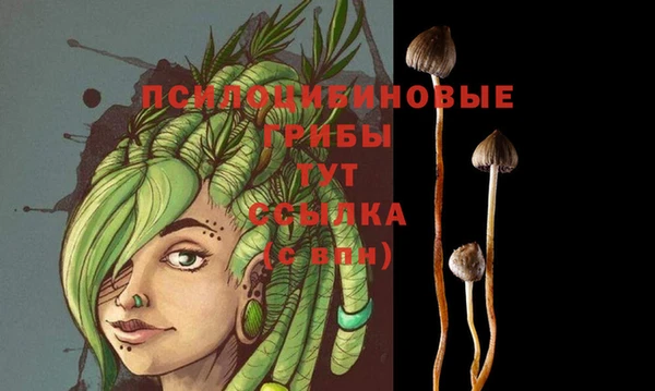 таблы Волосово
