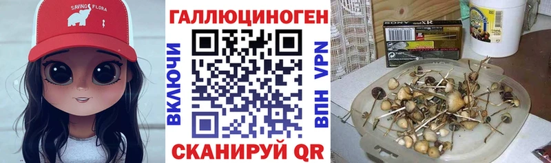 Галлюциногенные грибы мухоморы  OMG ссылки  Арзамас 